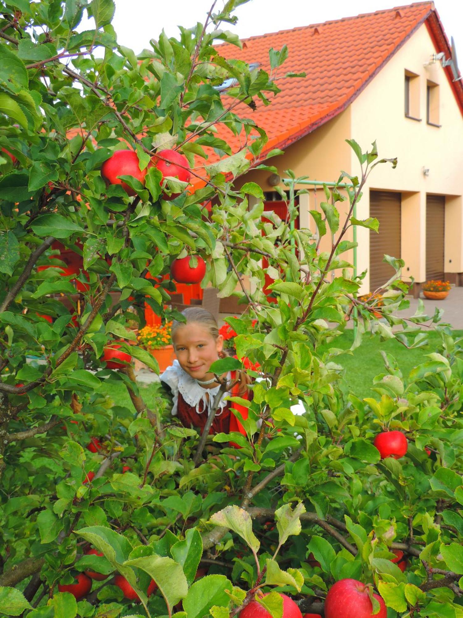 Holiday Home Linda Liptovský Mikuláš Eksteriør billede